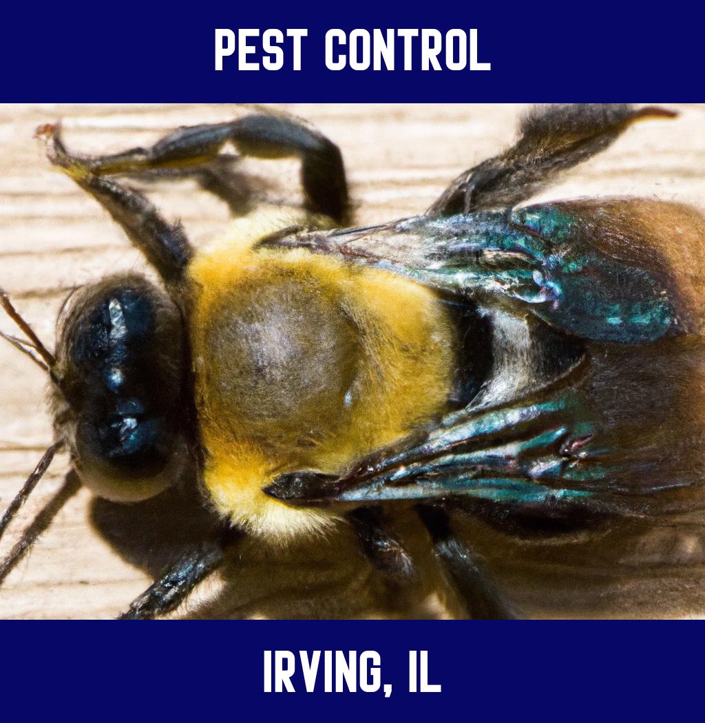pest control in Irving Illinois