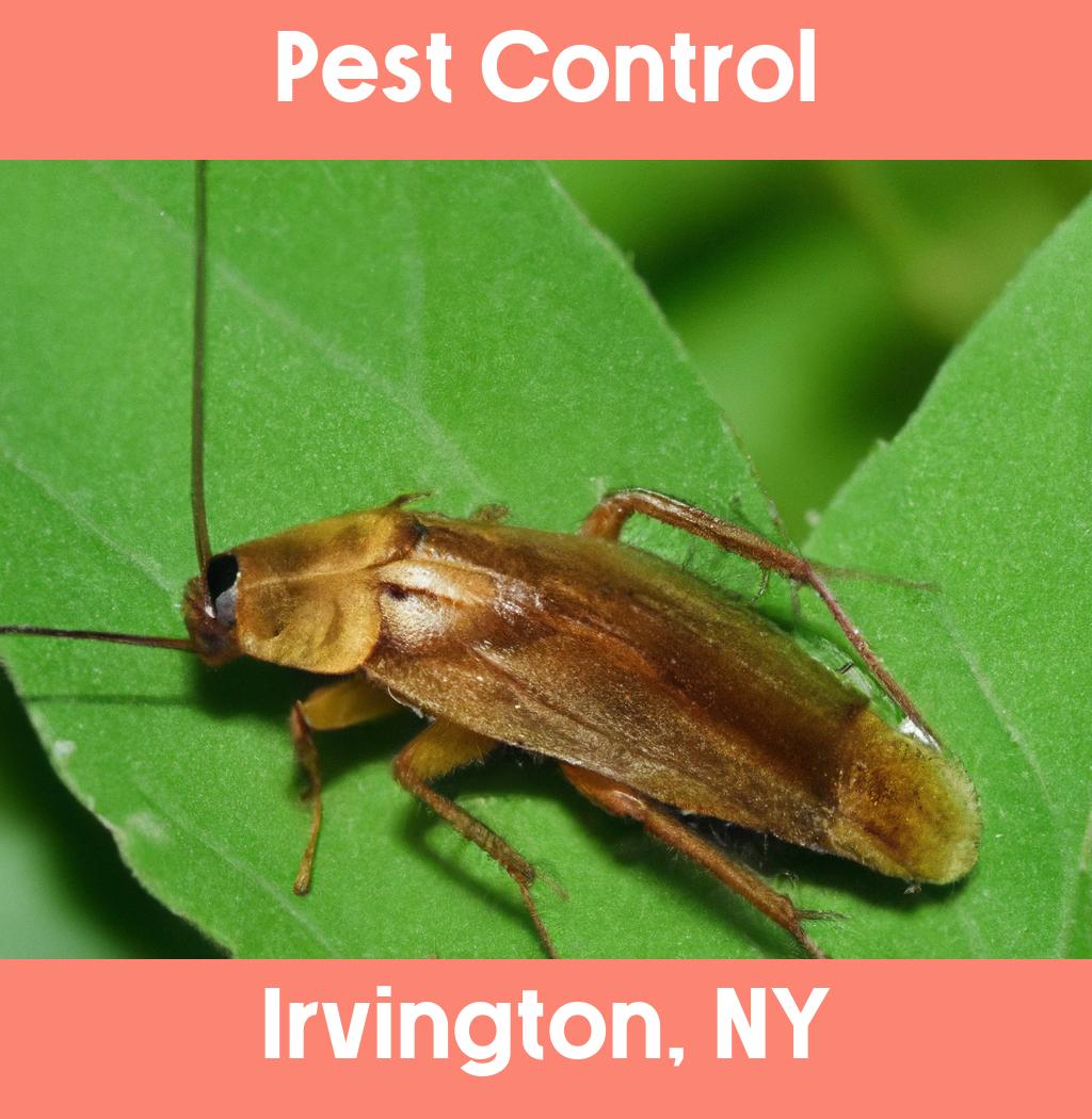 pest control in Irvington New York