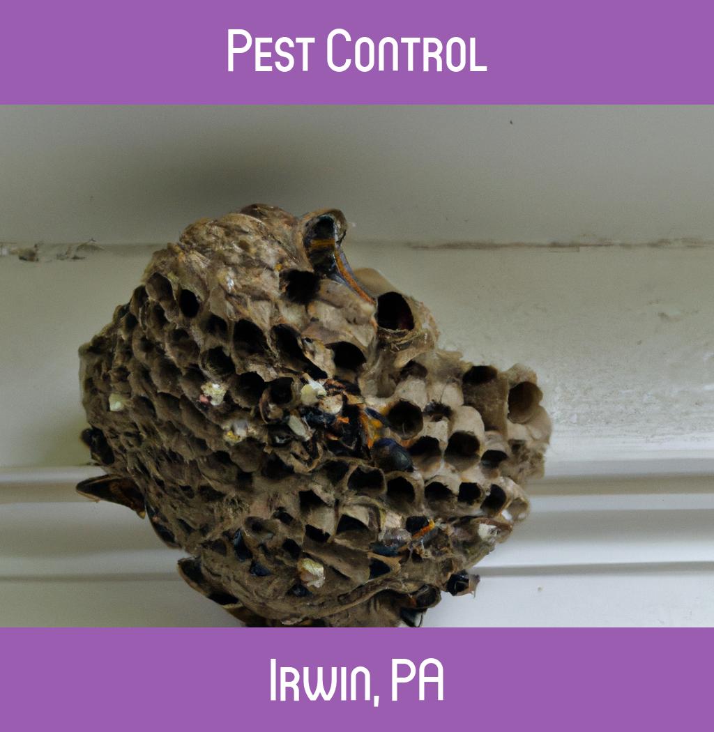 pest control in Irwin Pennsylvania