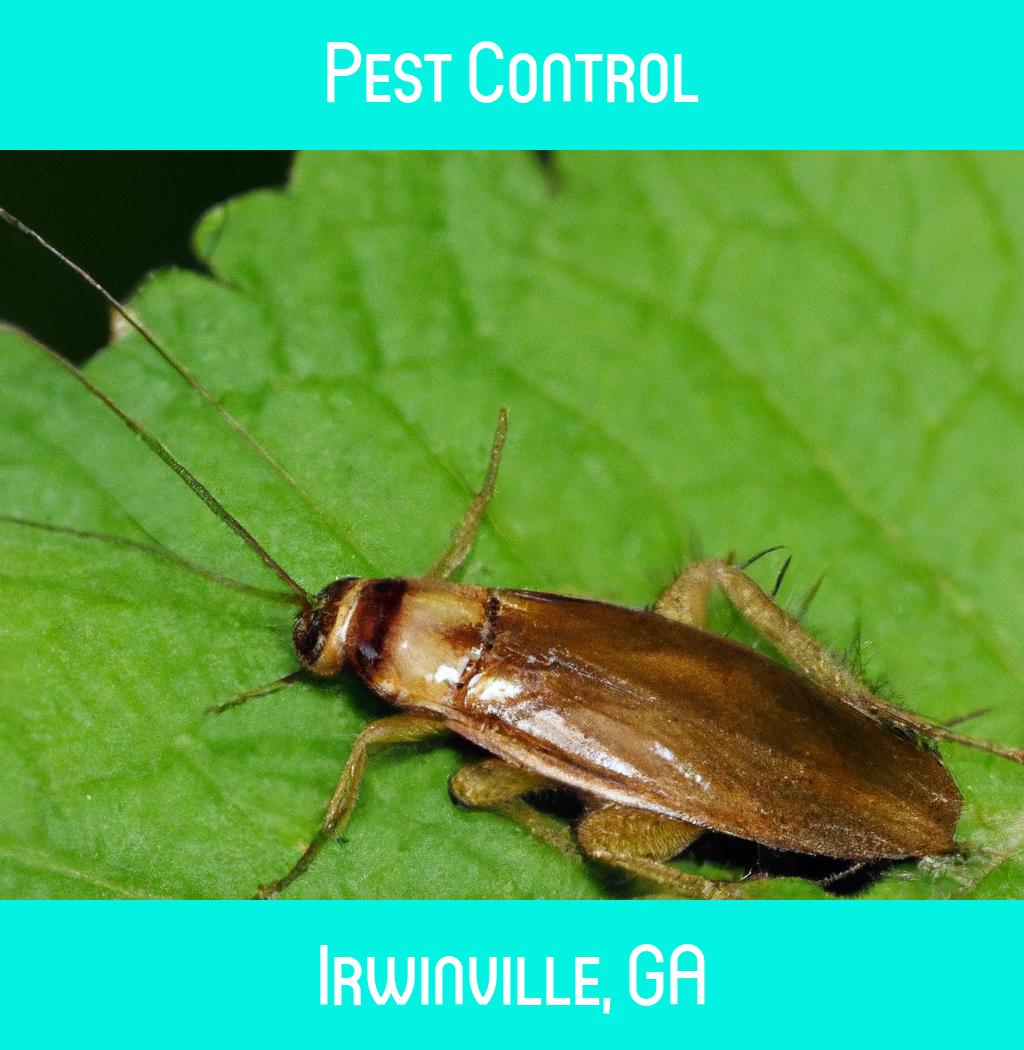 pest control in Irwinville Georgia