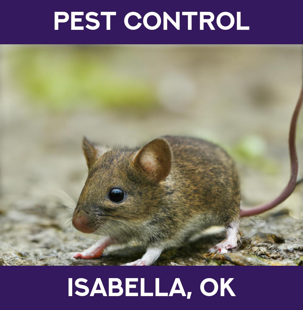 pest control in Isabella Oklahoma