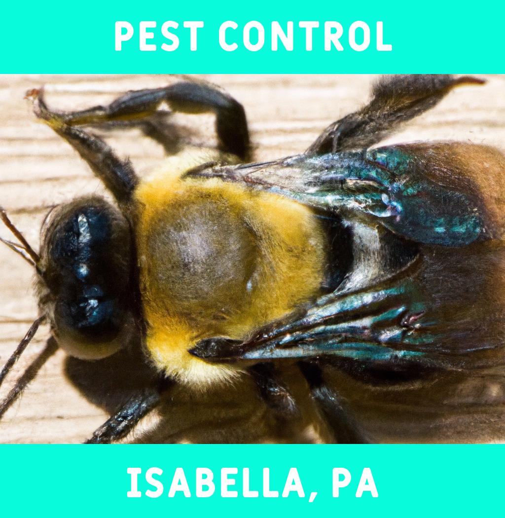 pest control in Isabella Pennsylvania