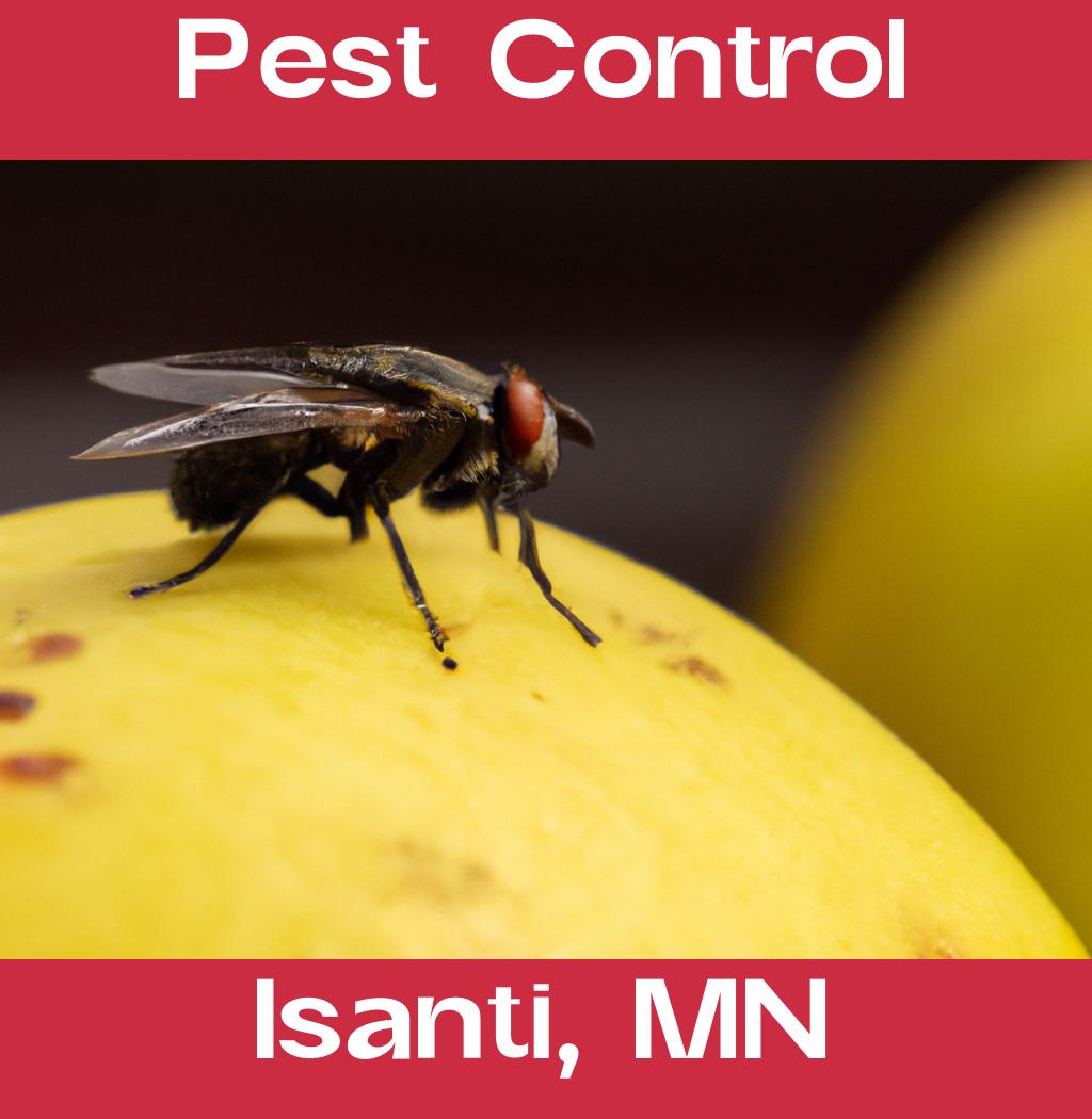 pest control in Isanti Minnesota