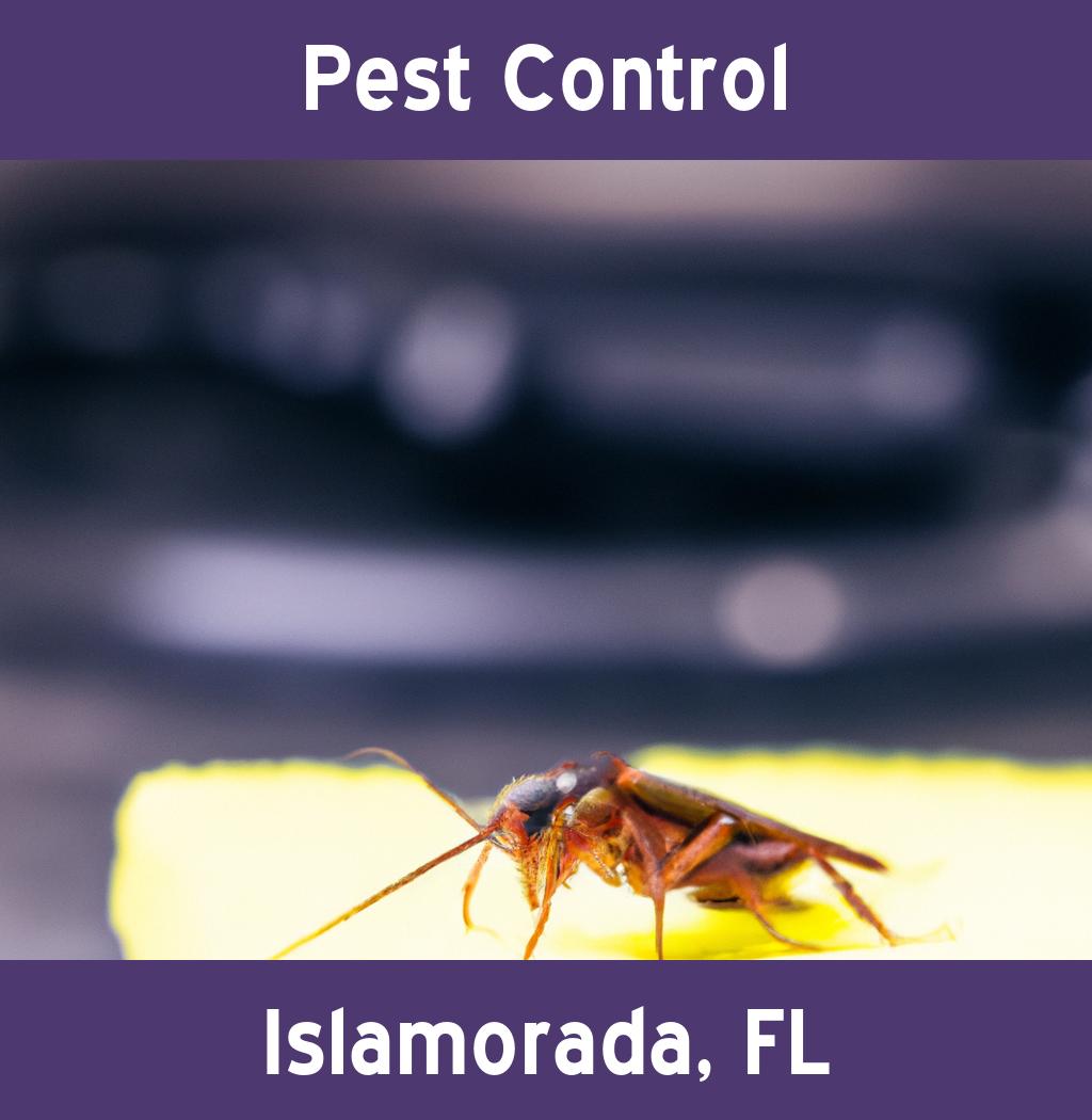 pest control in Islamorada Florida