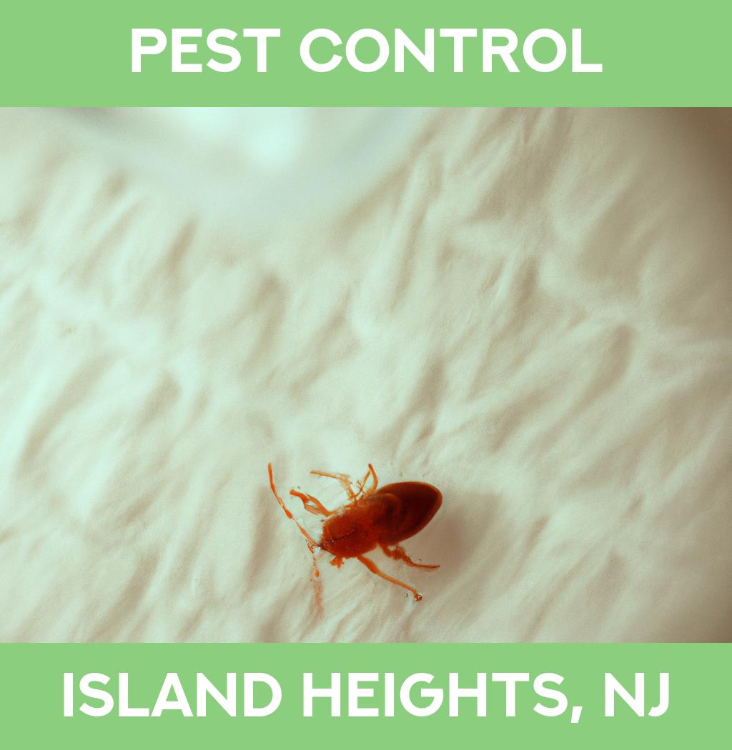 pest control in Island Heights New Jersey
