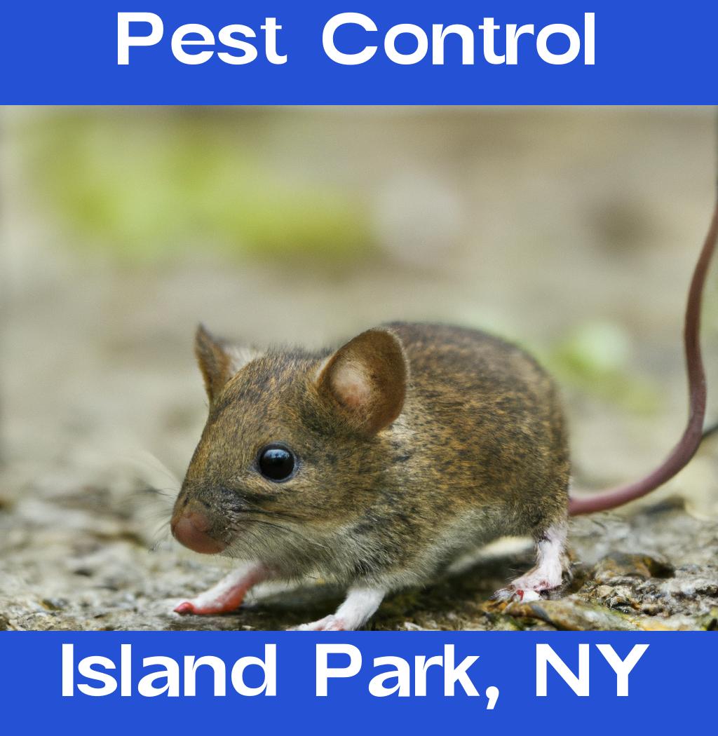 pest control in Island Park New York