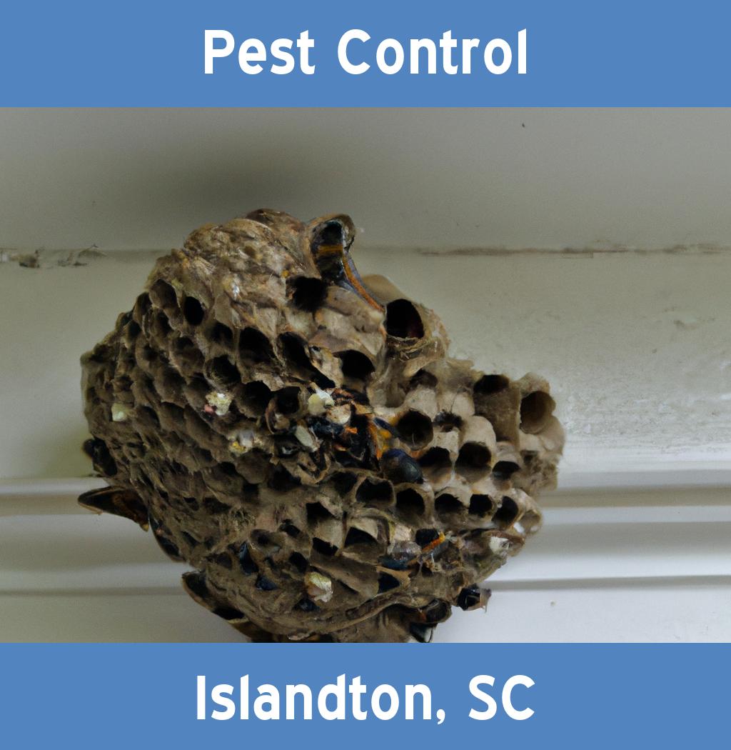 pest control in Islandton South Carolina