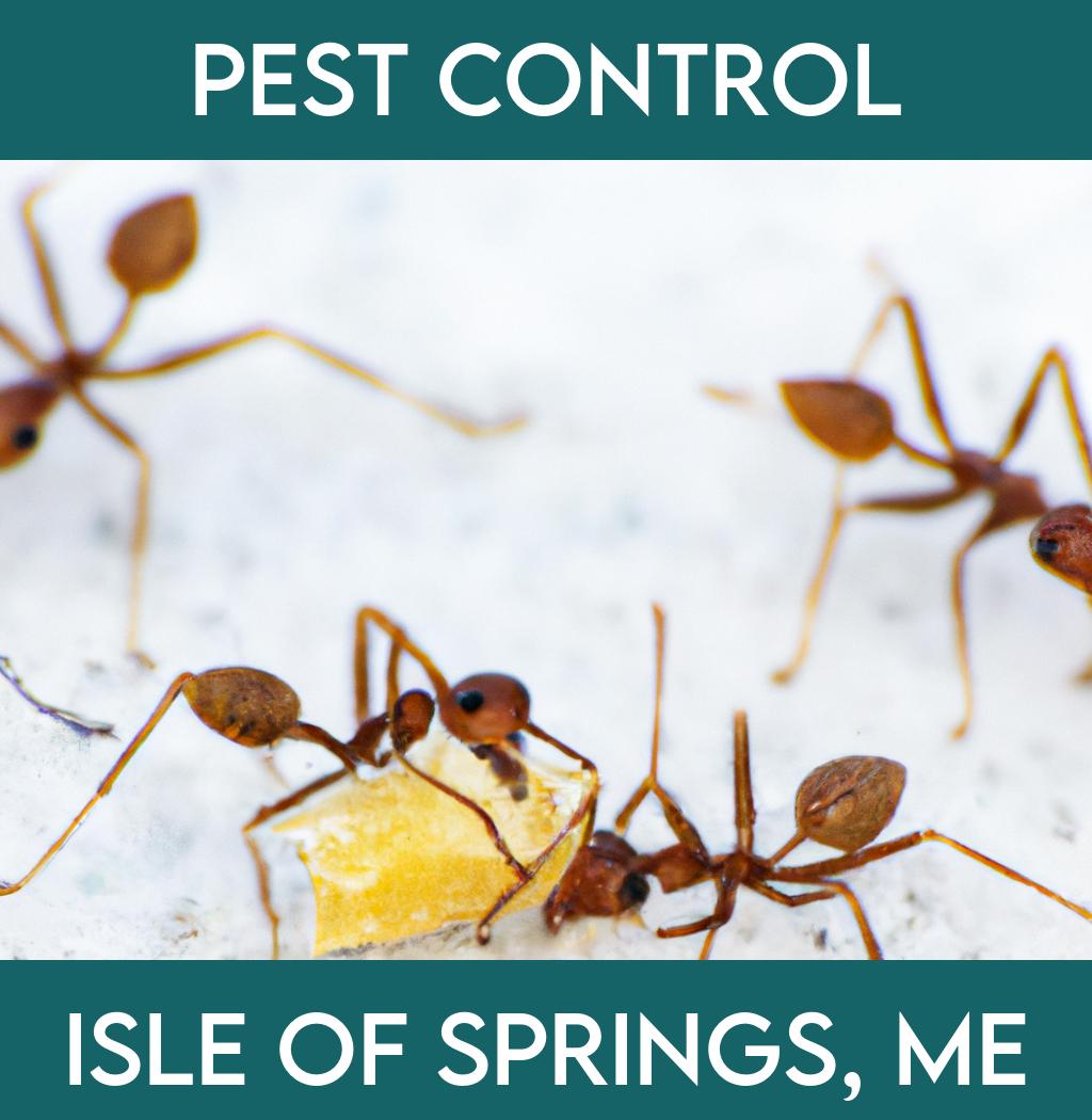 pest control in Isle Of Springs Maine