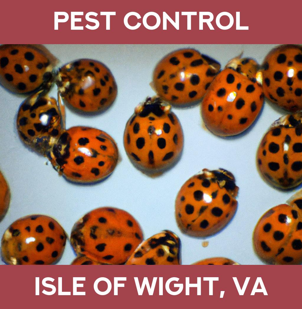 pest control in Isle Of Wight Virginia