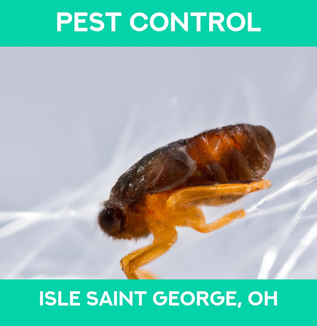 pest control in Isle Saint George Ohio