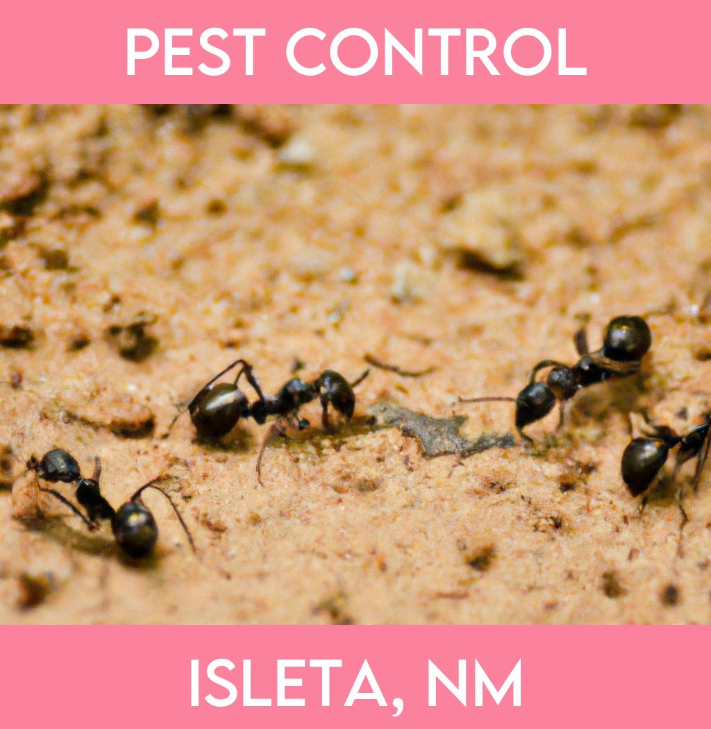 pest control in Isleta New Mexico