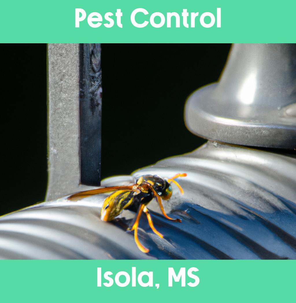 pest control in Isola Mississippi