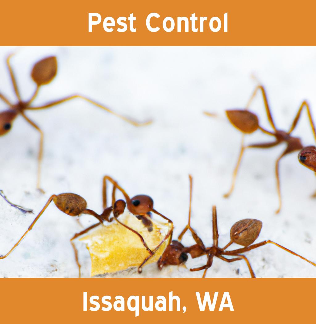 pest control in Issaquah Washington