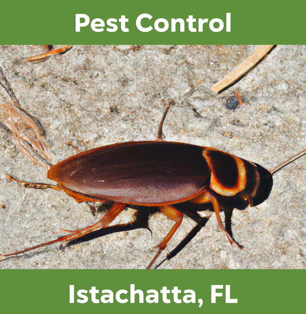 pest control in Istachatta Florida