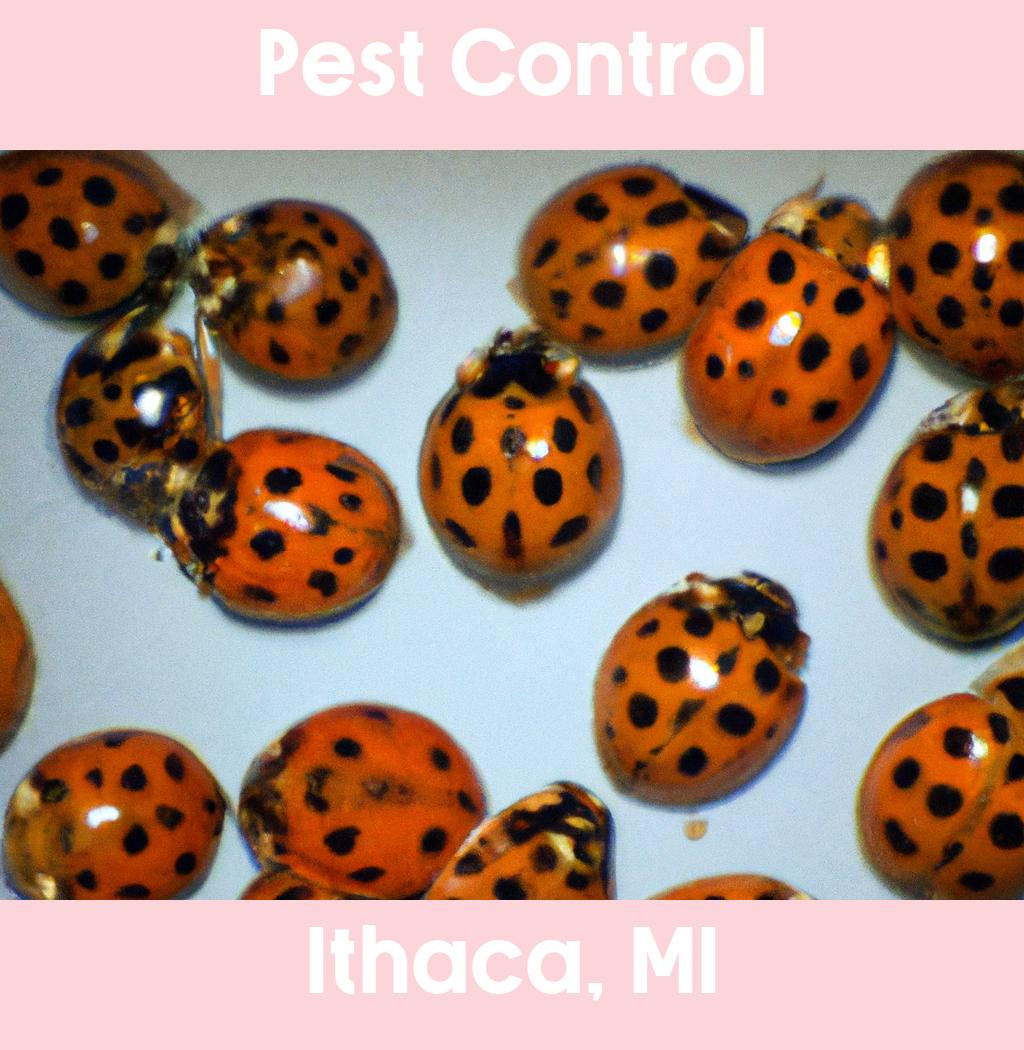 pest control in Ithaca Michigan