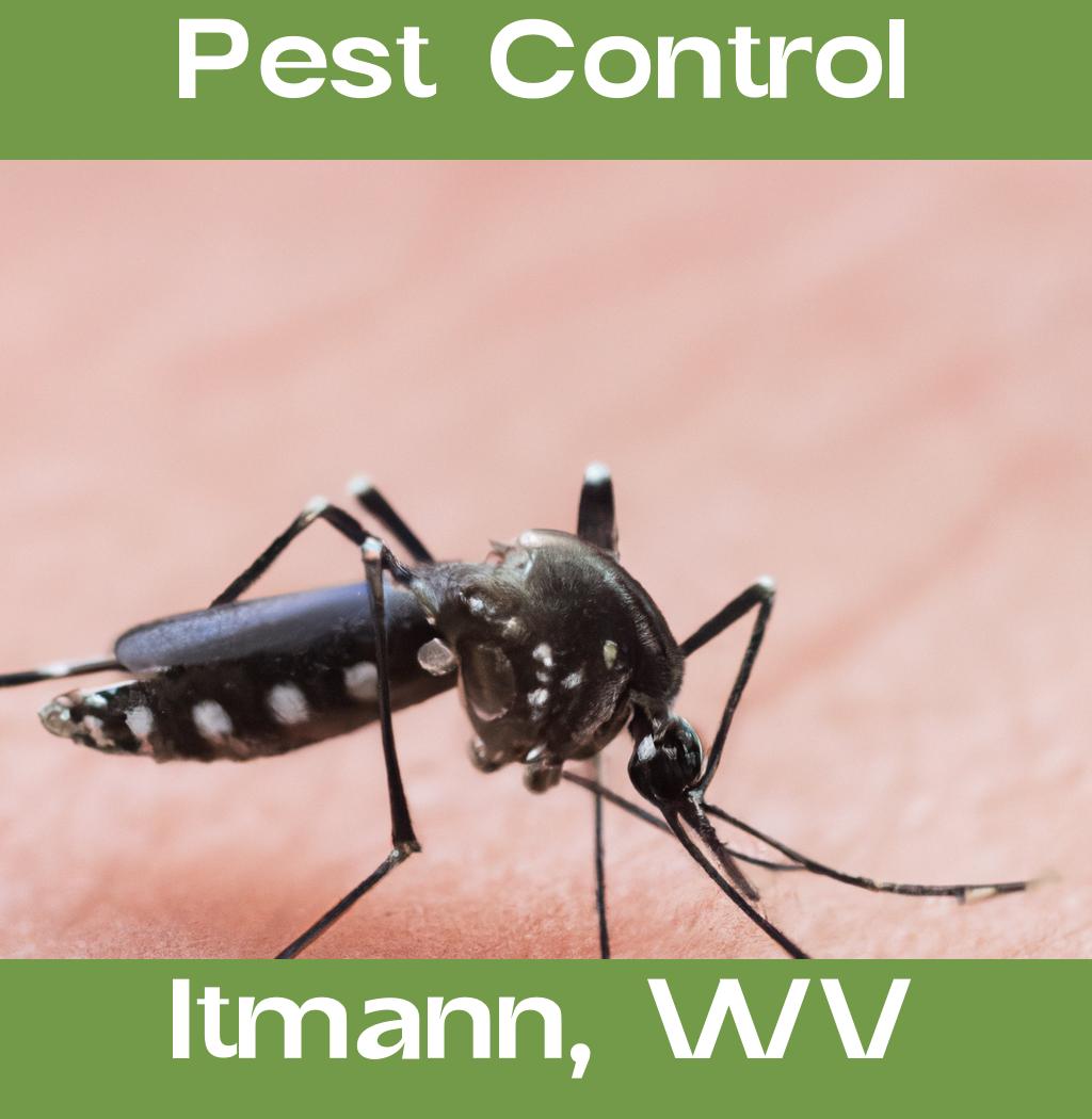 pest control in Itmann West Virginia