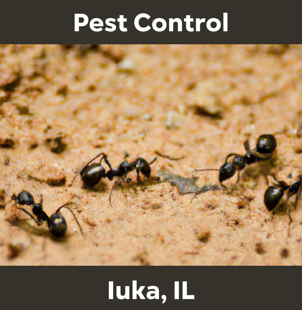 pest control in Iuka Illinois