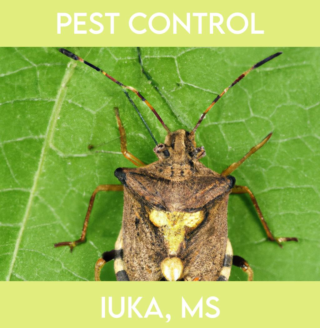 pest control in Iuka Mississippi