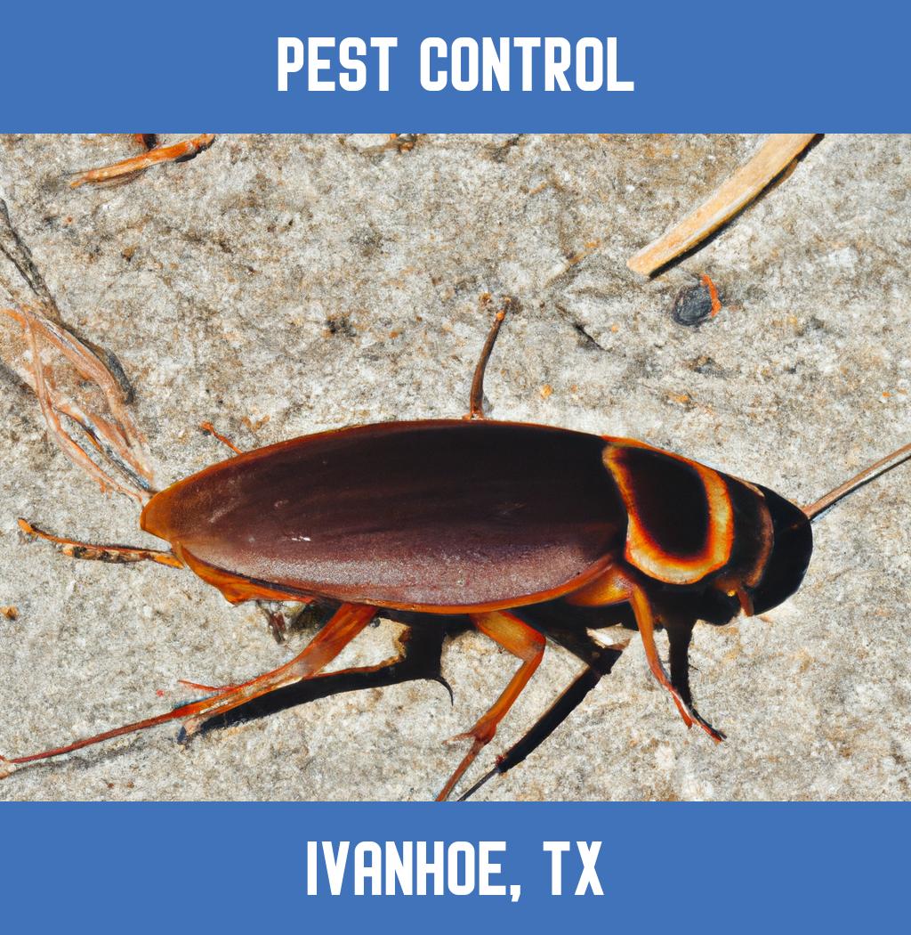 pest control in Ivanhoe Texas