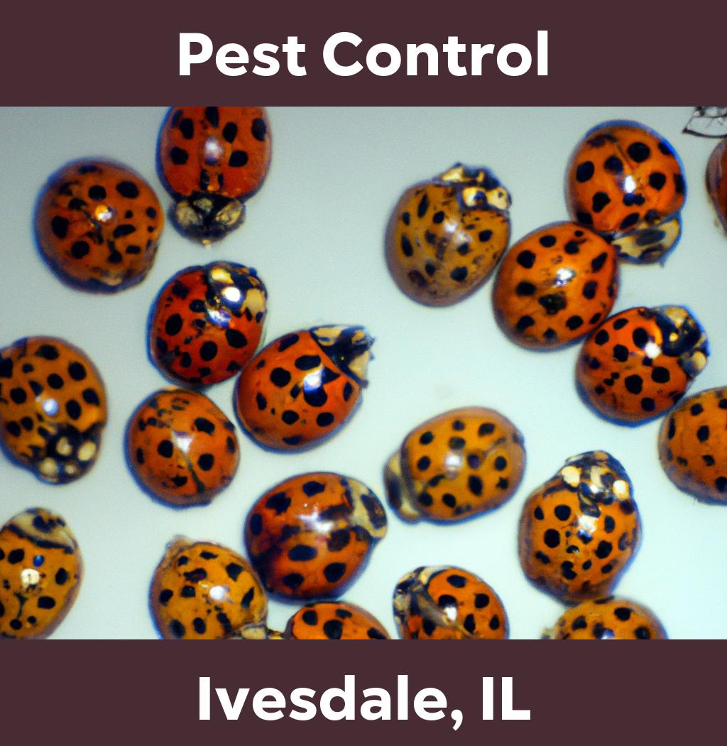 pest control in Ivesdale Illinois