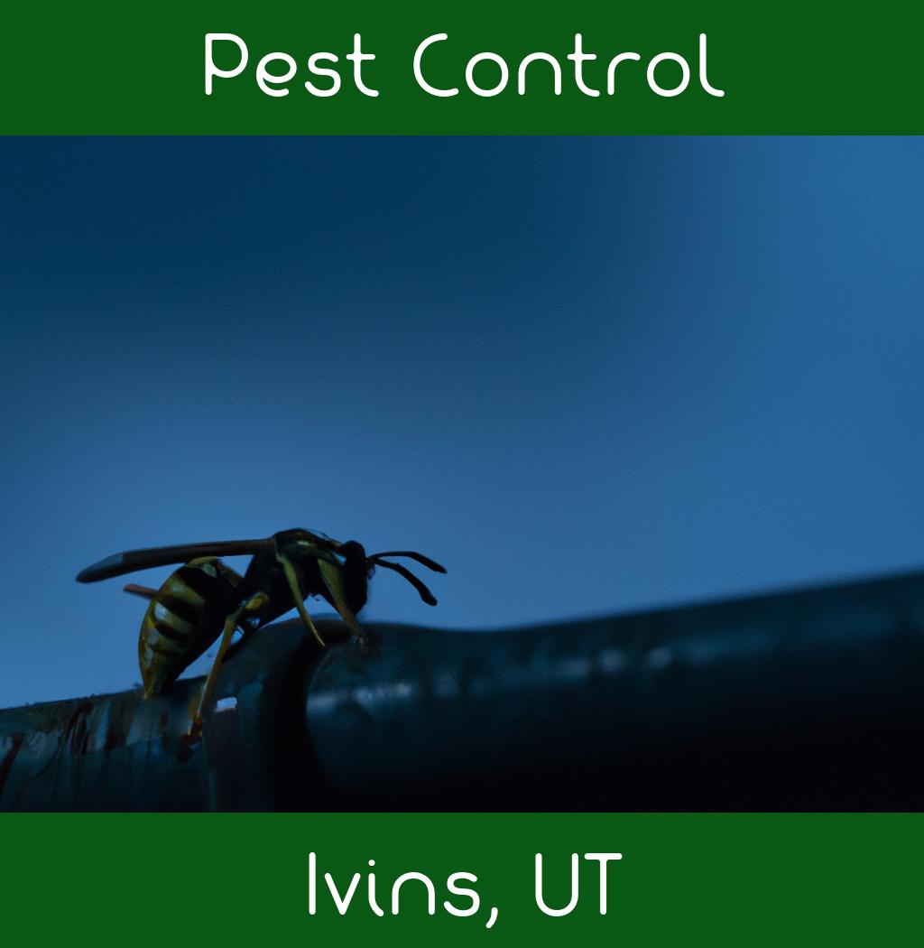 pest control in Ivins Utah