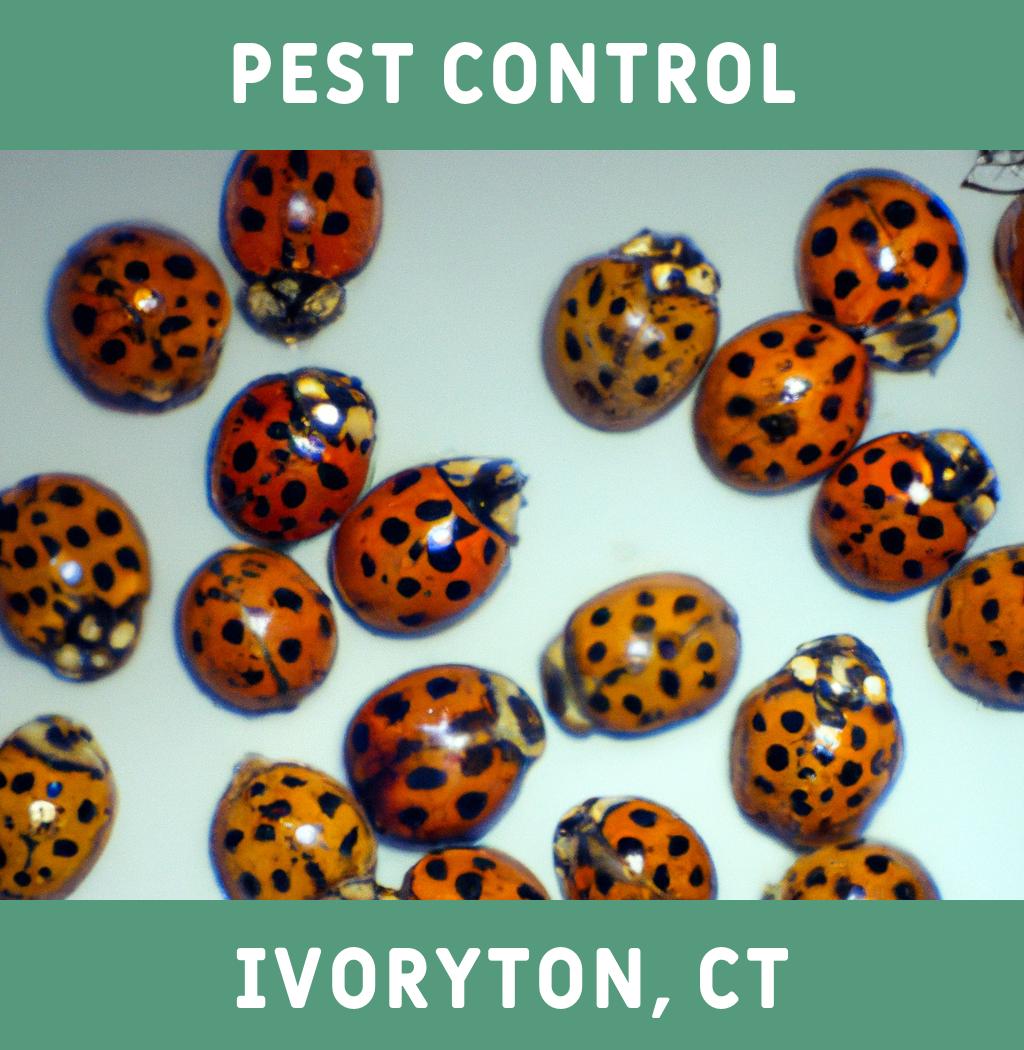 pest control in Ivoryton Connecticut