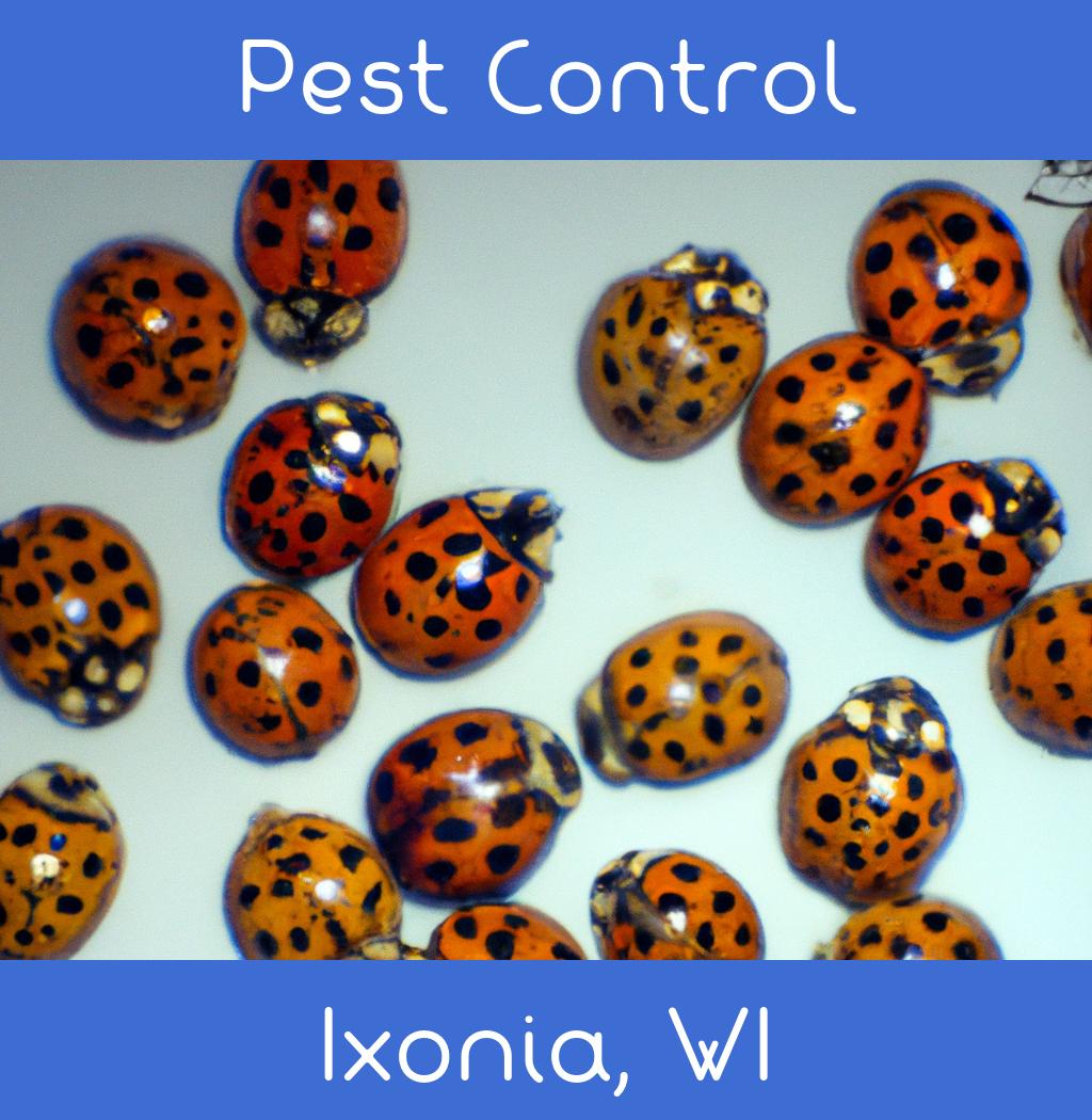 pest control in Ixonia Wisconsin
