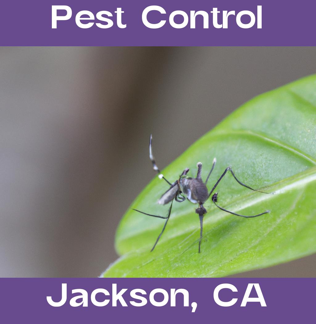 pest control in Jackson California