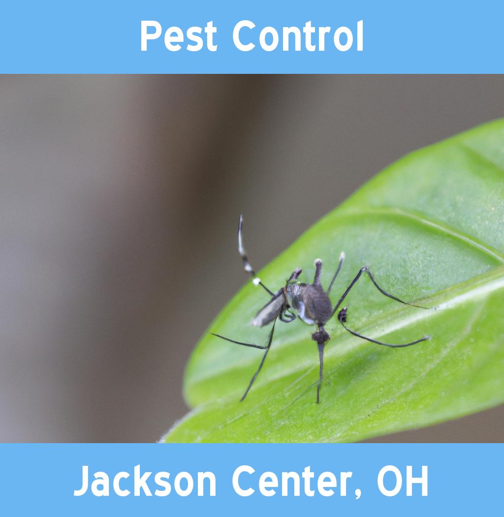 pest control in Jackson Center Ohio