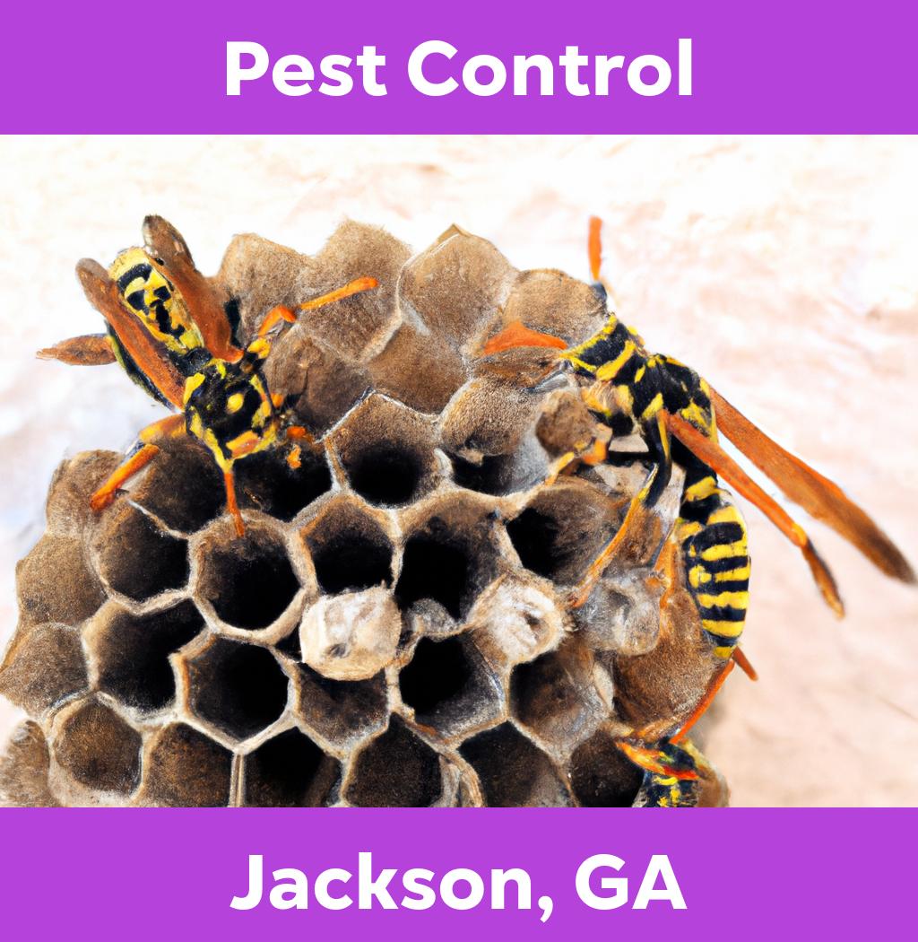 pest control in Jackson Georgia