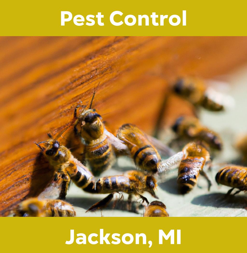 pest control in Jackson Michigan