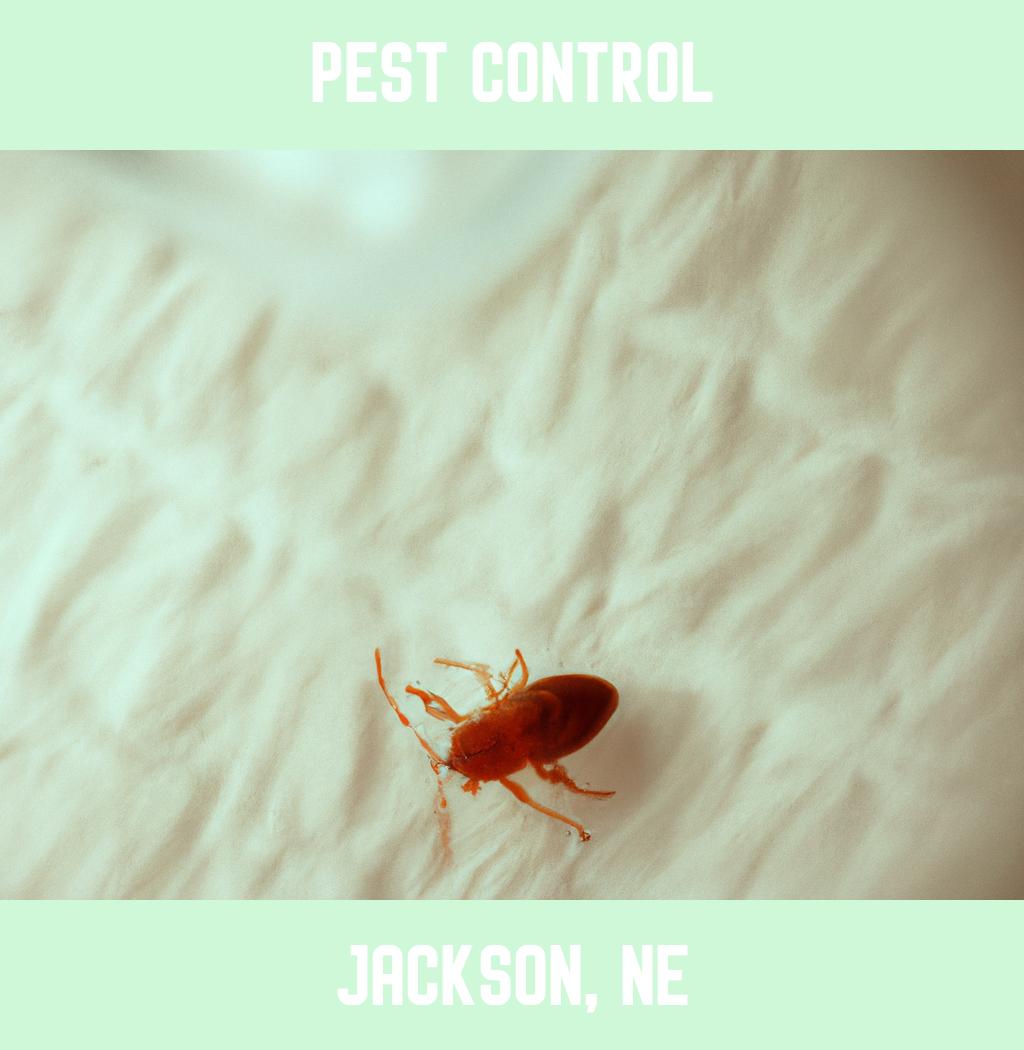 pest control in Jackson Nebraska