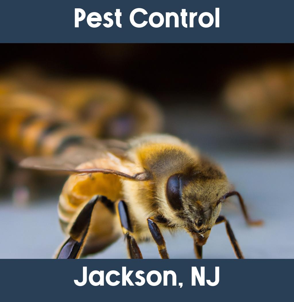 pest control in Jackson New Jersey