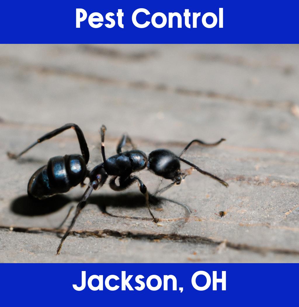 pest control in Jackson Ohio