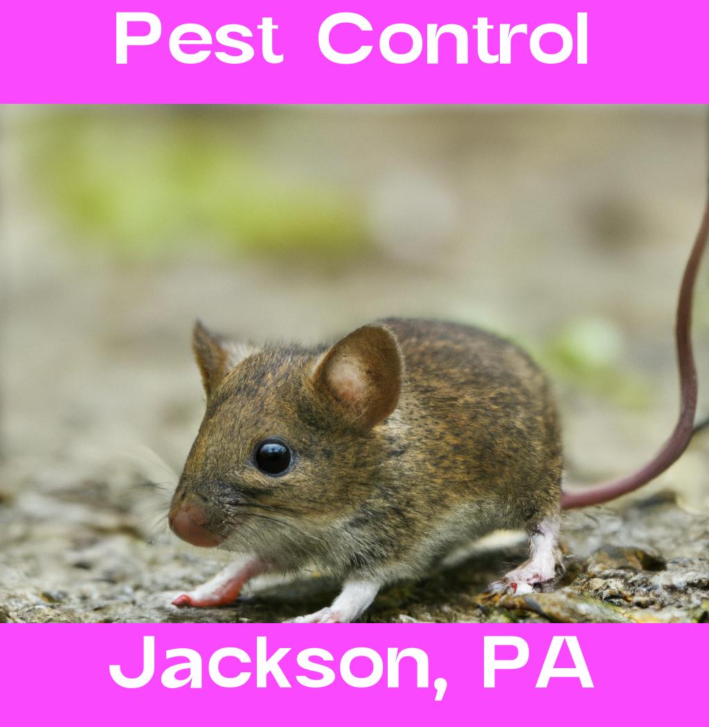 pest control in Jackson Pennsylvania