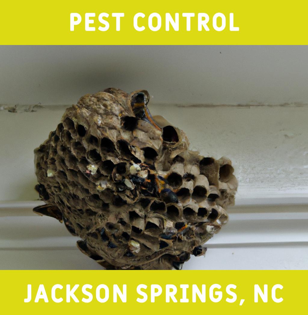 pest control in Jackson Springs North Carolina