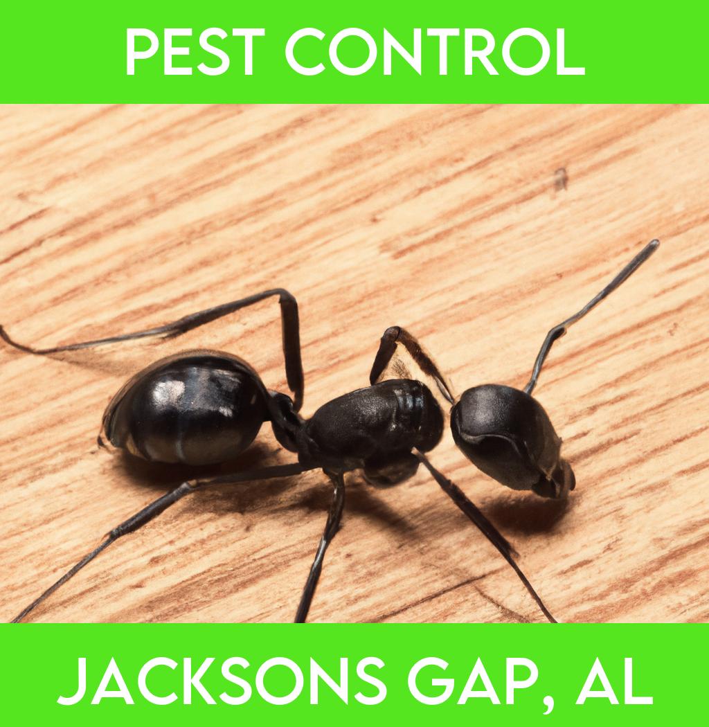 pest control in Jacksons Gap Alabama