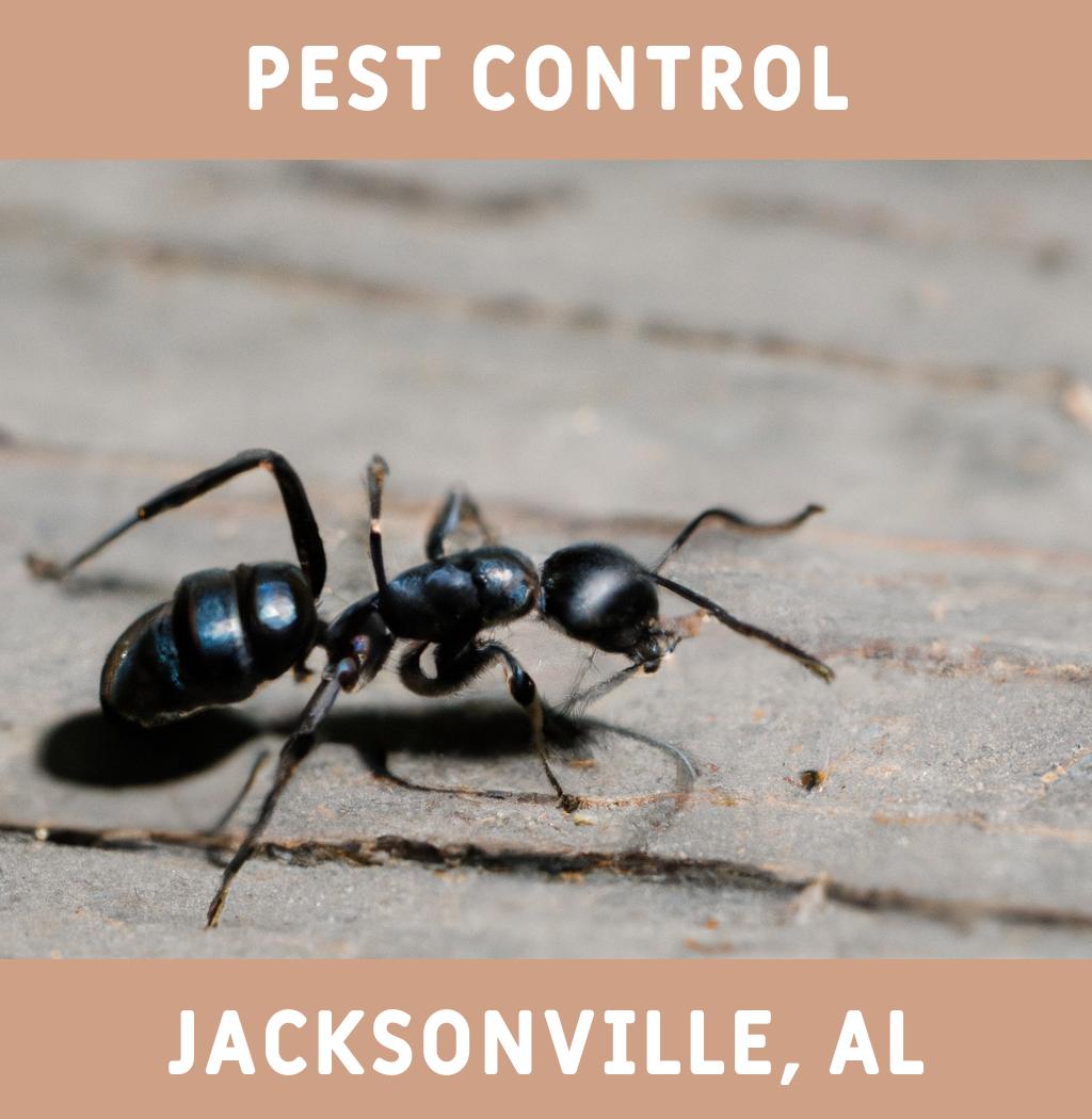 pest control in Jacksonville Alabama