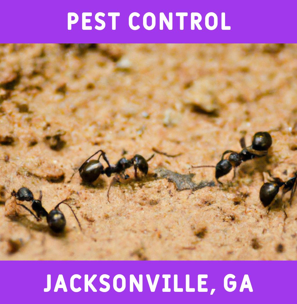 pest control in Jacksonville Georgia