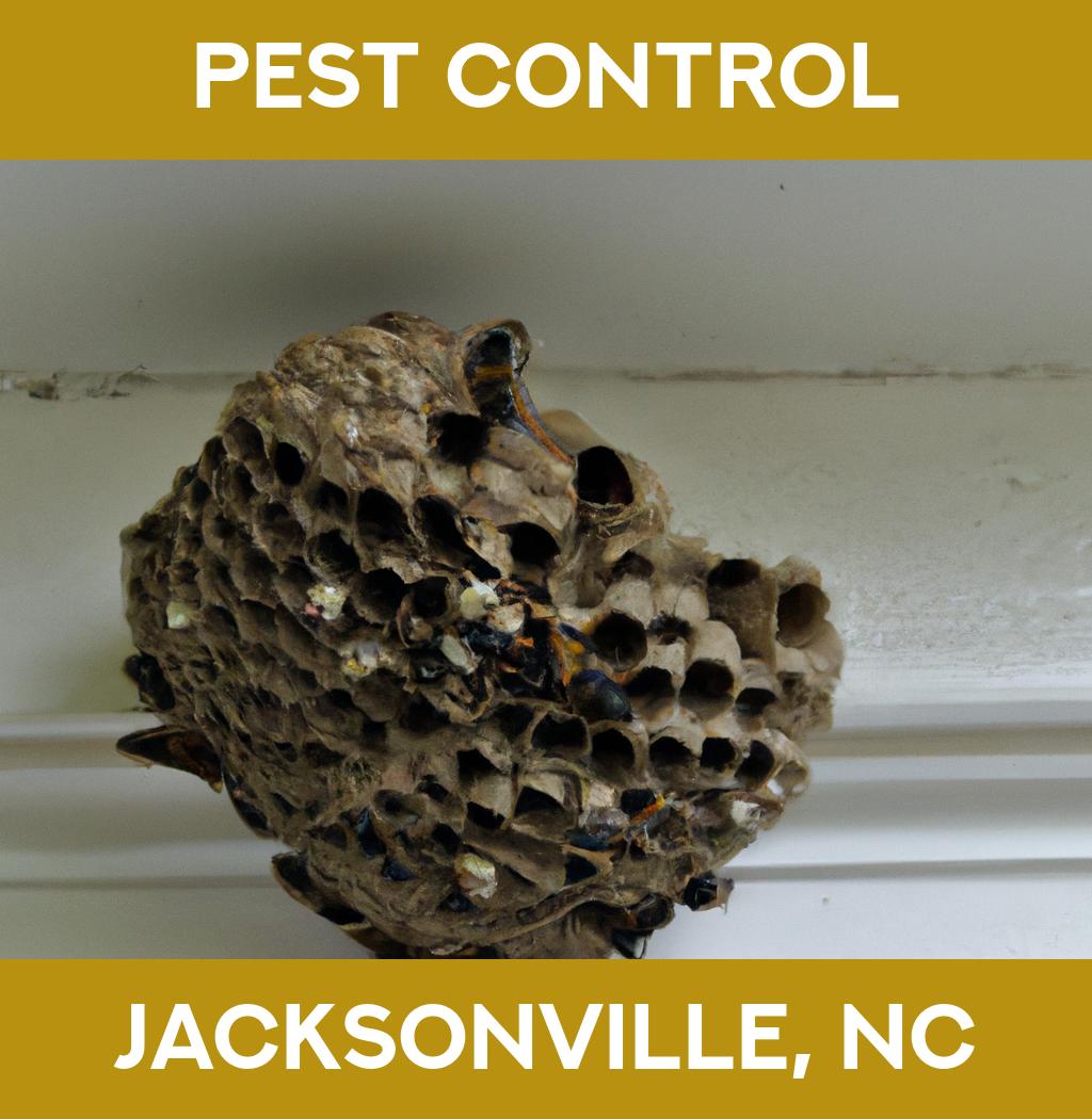 pest control in Jacksonville North Carolina