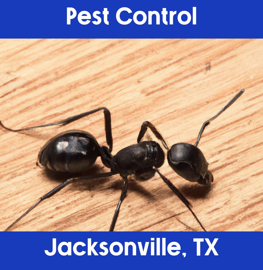 pest control in Jacksonville Texas