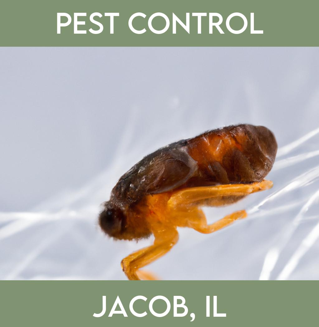 pest control in Jacob Illinois