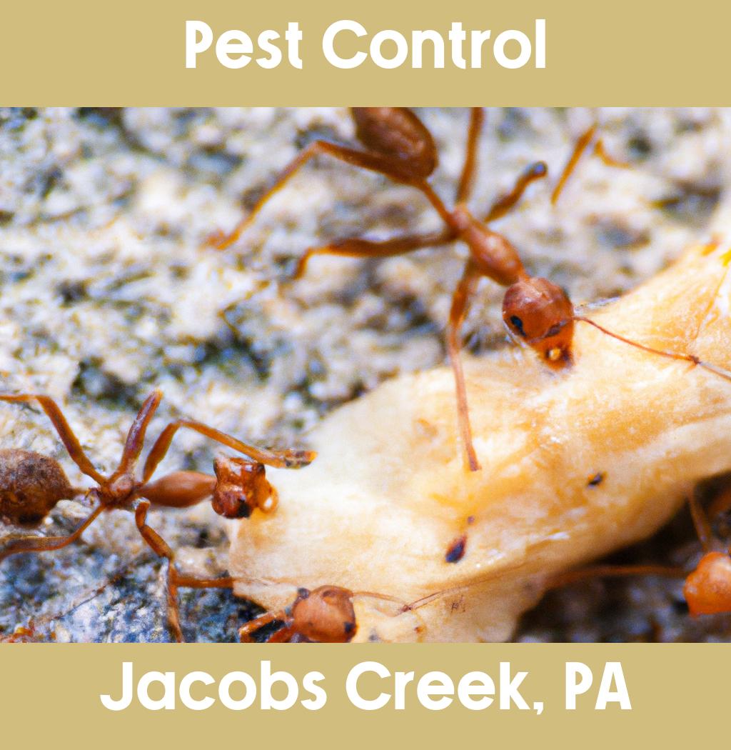 pest control in Jacobs Creek Pennsylvania