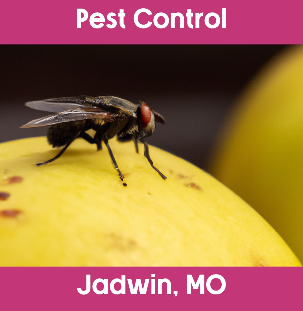 pest control in Jadwin Missouri