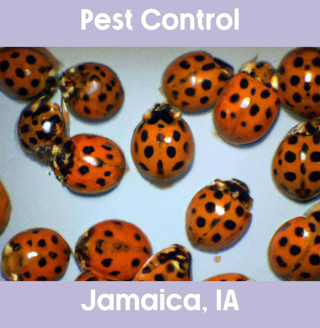 pest control in Jamaica Iowa