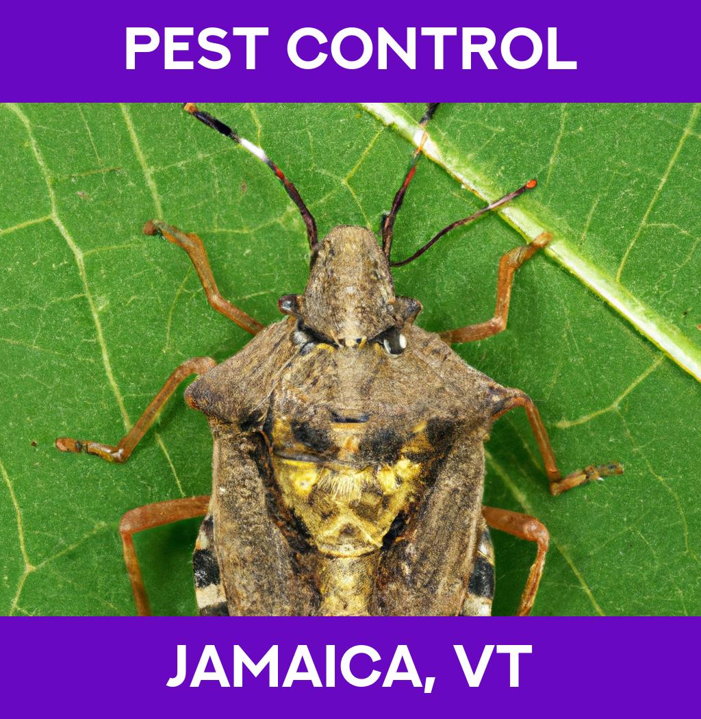 pest control in Jamaica Vermont