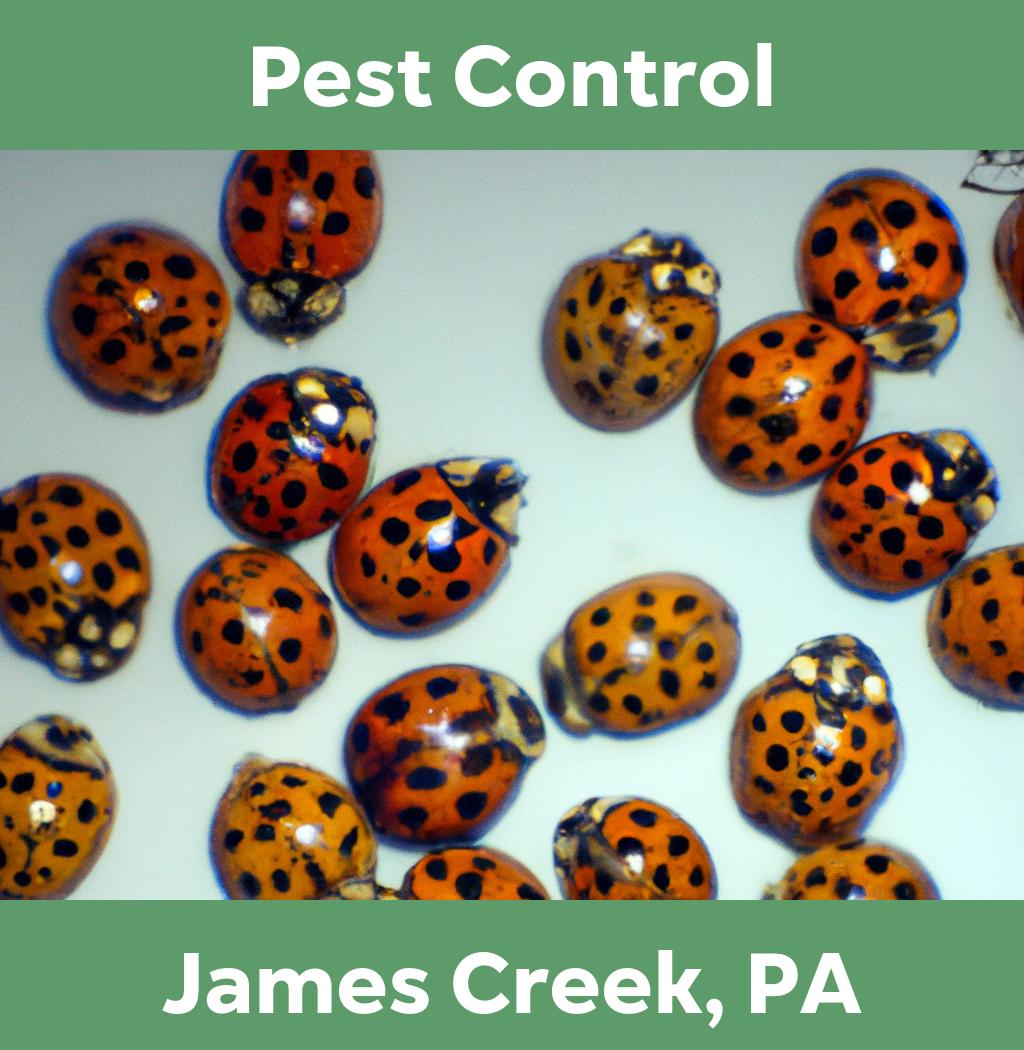 pest control in James Creek Pennsylvania