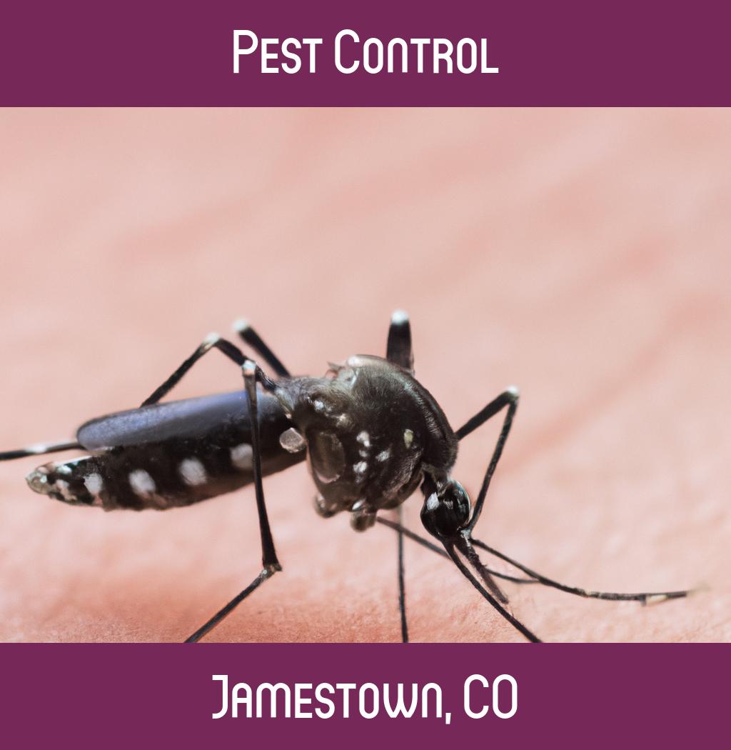 pest control in Jamestown Colorado