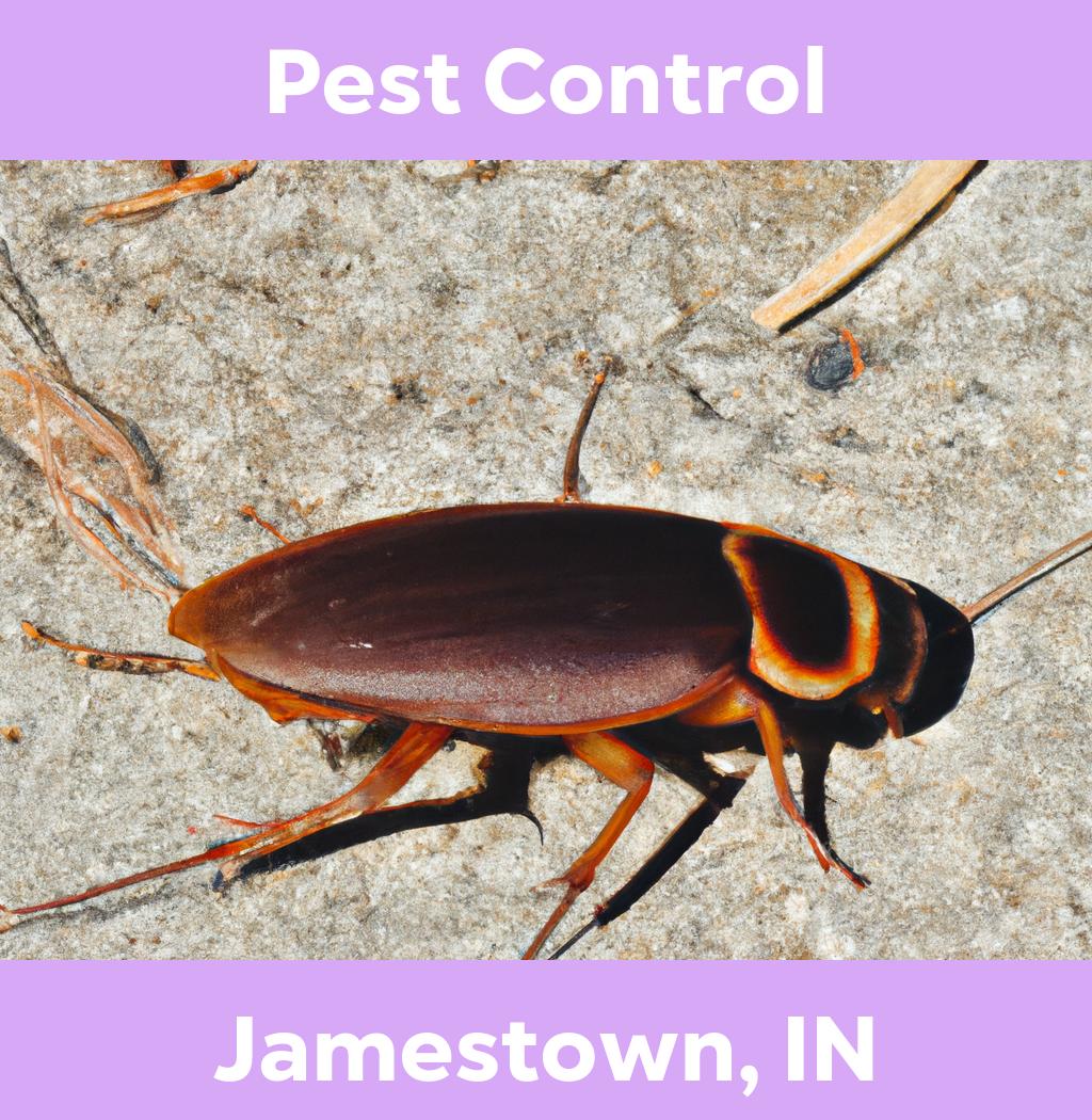 pest control in Jamestown Indiana