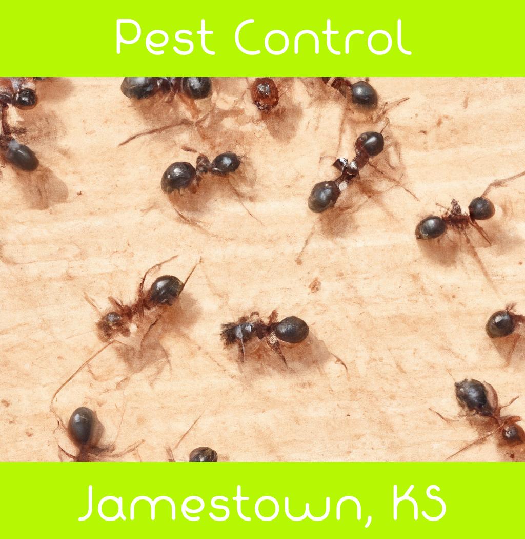 pest control in Jamestown Kansas